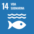 14 - Via submarina